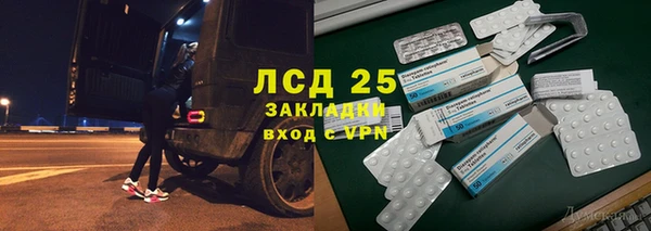 дживик Вязьма