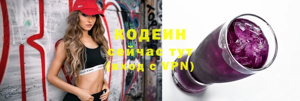 дживик Вязьма