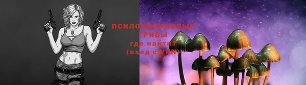 прущая мука Горно-Алтайск