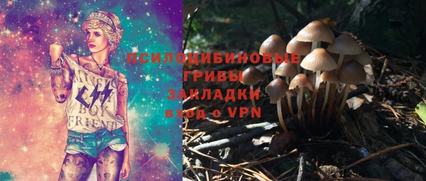ALPHA-PVP Вяземский